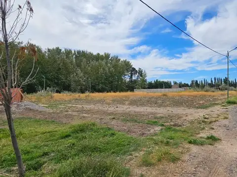 Puerto Deseado 4000