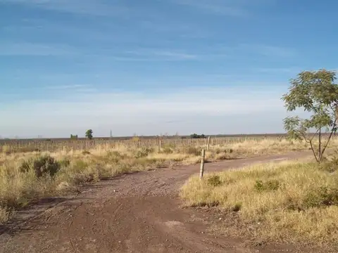 VENTA FINCA - CHACRA CON POZO MENDOZA