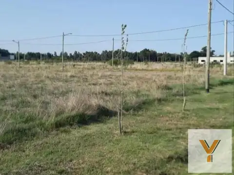 Terreno en Venta 50  mts Fondo