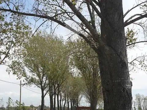 Terreno en Venta de 903,0 m2