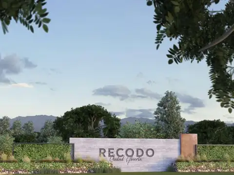 Ruta 99