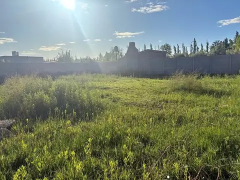 Terreno en Venta en Cinco Saltos, USD 25.000