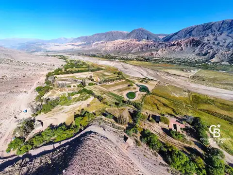 Terreno en Venta de 1309,0 m2