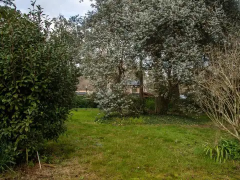 Terreno en Venta de 740,0 m2