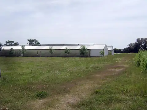 Campo en venta San Andres de Giles