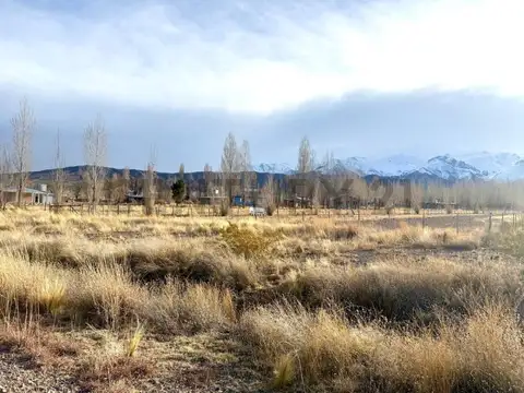 Century21 López ofrece a la venta Lote en Ruta Nacional 149, San Alberto, uspallata.
