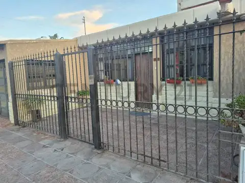 Pampa amarilla 8600