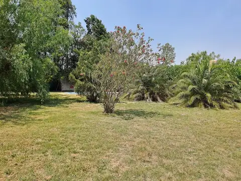 CAPDEVILLA Y RODO P SAKURA