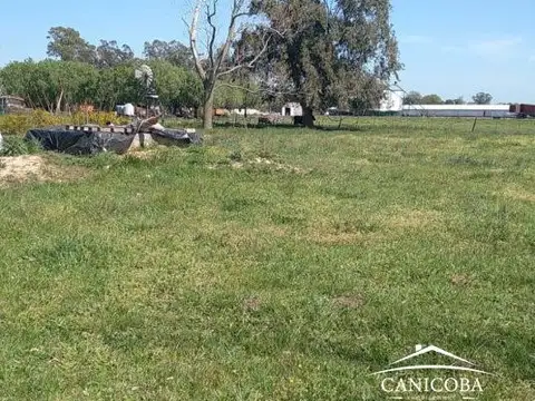 6 ha en Coronel Vidal