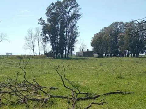 6 ha en Coronel Vidal