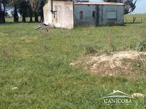 6 ha en Coronel Vidal