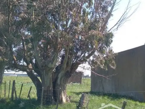 Chacra en Coronel Vidal