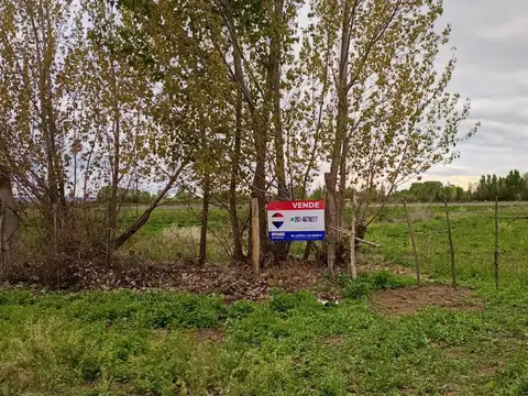 Vendo finca 11ha t esquina s. carlos oportunidad