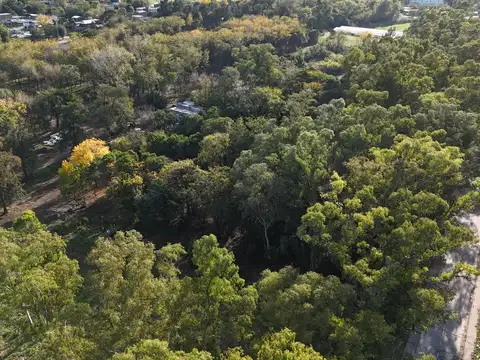 Venta Terreno Longchamps - Barrio "La Arbolada" Lote