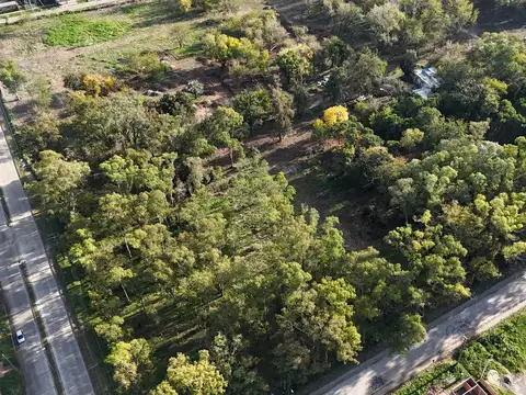 Arbolada de Longchamps. B° Parque. Espora esq Zeballos