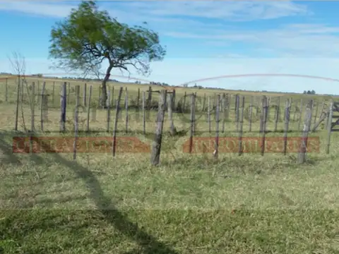 Pehuajó