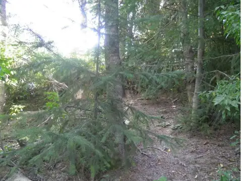 Terreno en Venta de 6000,0 m2