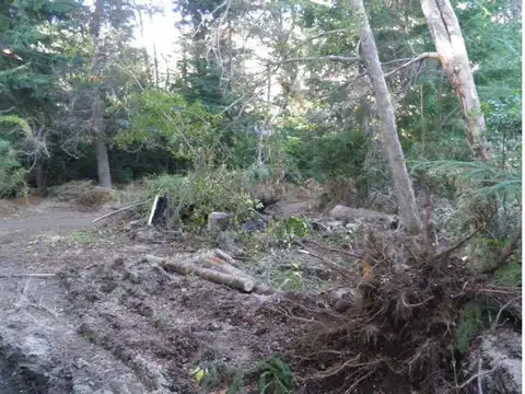 Terreno en Venta, FOT 20