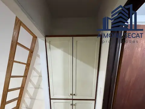 Escribano J. F. Cagnin 2500