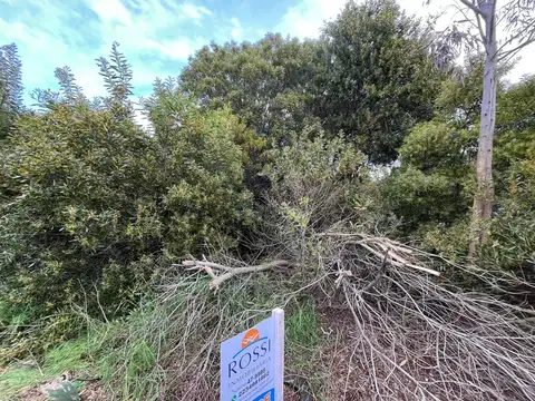 Terreno en Venta 10  mts Frente