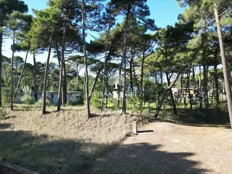 De La Calandria