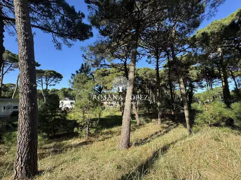 Terreno en Venta de 1011,0 m2