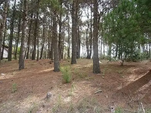 Terreno en Venta en Alfalad, USD 82.000