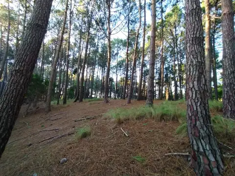 Terreno en Venta de 675,0 m2