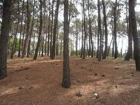 Terreno en Venta en Alfalad, USD 82.000