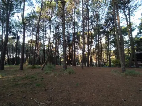 Terreno - Venta - Argentina, Mar de las Pampas