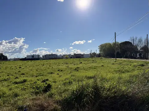 135 e 509 y 510 100