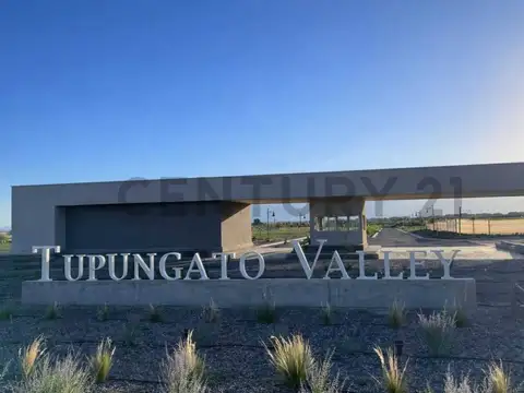 Lote en Venta en Tupungato