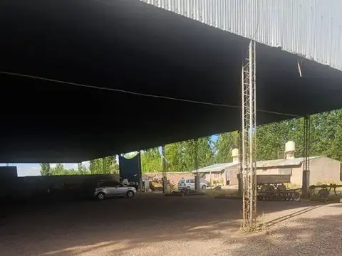 Galpon en Alquiler 26 años