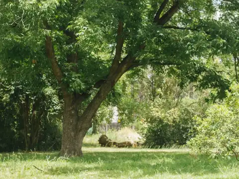 Departamento 3 ambientes. Terraza. Vistas. Amenities Cochera