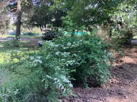 Panamericana Pilar Km. 45 , Piso 2