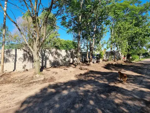 Venta de Hectáreas en Melchor Romero, La Plata