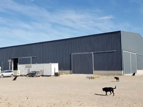 Galpon en Venta en Neuquen, USD 32.000
