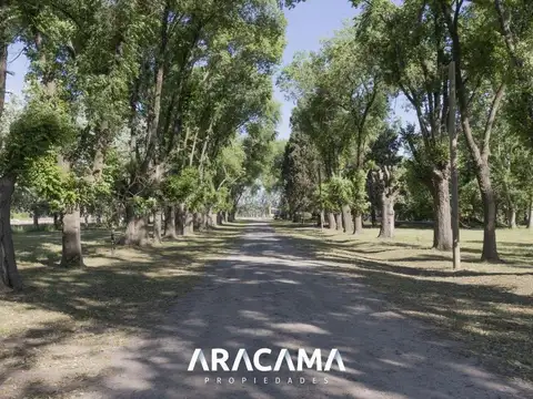 Terreno en Venta de 1015,0 m2