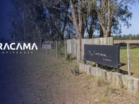 Lotes en Venta en La Eugenia - Maximo Paz