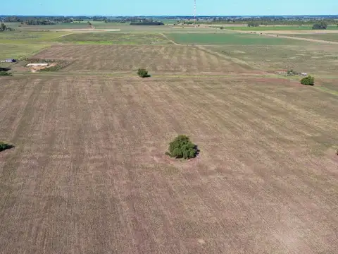 Campo en Venta de 20  ha