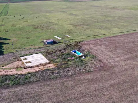 Campo en Venta Agrícola