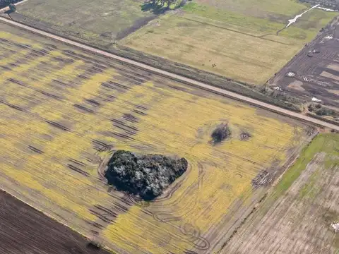 Diego Gaynor - Ex. de la Cruz