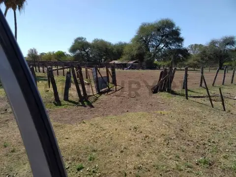 Venta de establecimiento  Rural- campo en Villa Guillermina Santa Fe