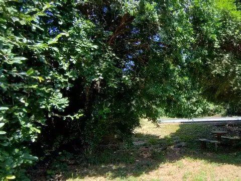 Calle Joaquín Arqueros 1700