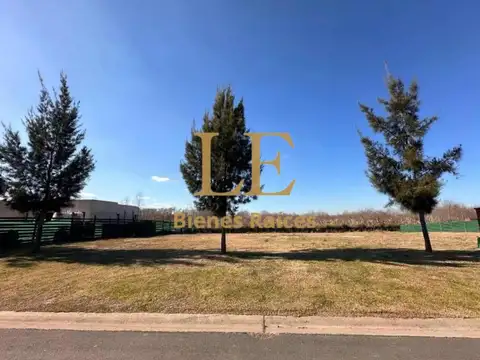 Venta Terreno El Naudir