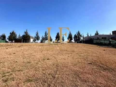 El Naudir 100