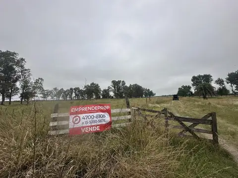 Campo de 6 Hectáreas a  metros de Ruta 6, San Vicente.