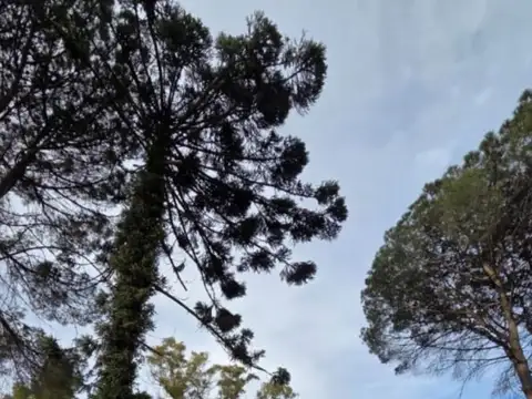 Terreno en Venta de 300,0 m2