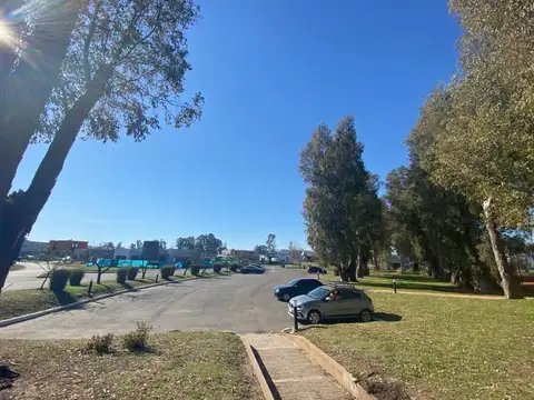 Terreno Lote  en Venta ubicado en Santa Lucia, Pilar del Este, Pilar