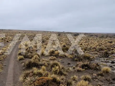 VENTA CAMPO SOMUNCURA - VALCHETA - RIO NEGRO